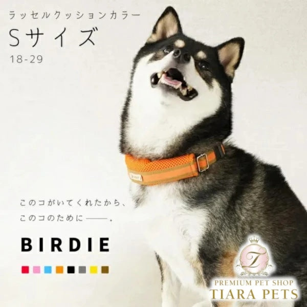 バーディ BIRDIE ラッセルクッションワンタッチカラー(S)【小型犬・犬用 ペット 首輪 カラー カジュアル】