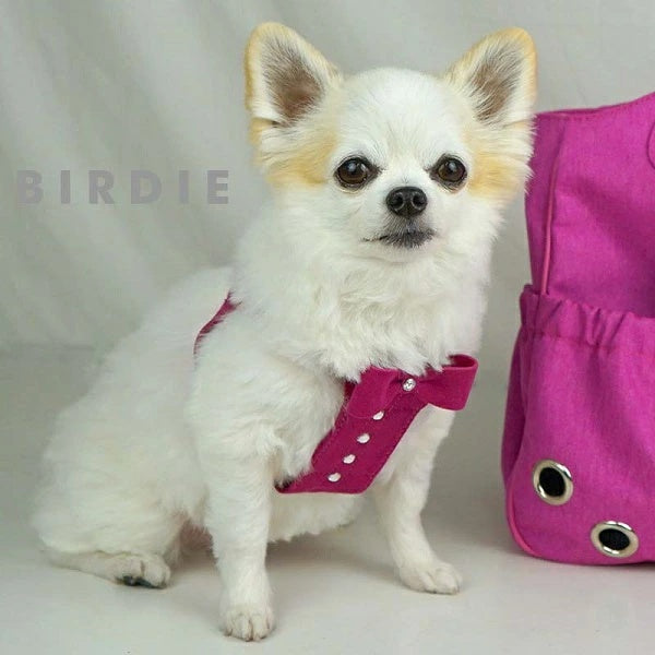 バーディ BIRDIE リンバーハーネス(M)【小型犬 犬用 ハーネス 胴輪 カジュアル】 送料無料