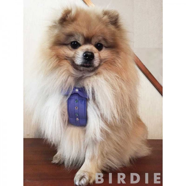 バーディ BIRDIE リンバーハーネス【犬用 ハーネス 胴輪 カジュアル 】