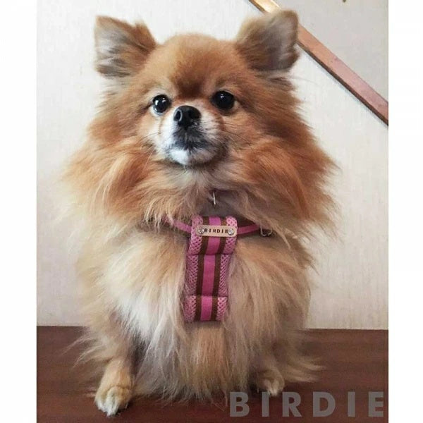 バーディ BIRDIE ラッセルクッションハーネス(M)【小・中型犬 犬用 ハーネス 胴輪 カジュアル】 送料無料