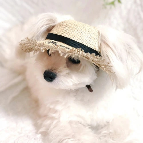 ★受注生産★ガーデン オブ エデン Garden of Eden 麦わらレターハット【小型犬 アクセサリー セレブ ハット 帽子】 送料無料
