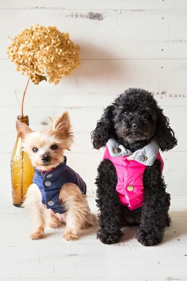 プエルト PUERTO コロナリバーシブルダウンベスト(4h/5)【小型犬 犬服 ウエア アウター 上着 コート セレブ】 送料無料