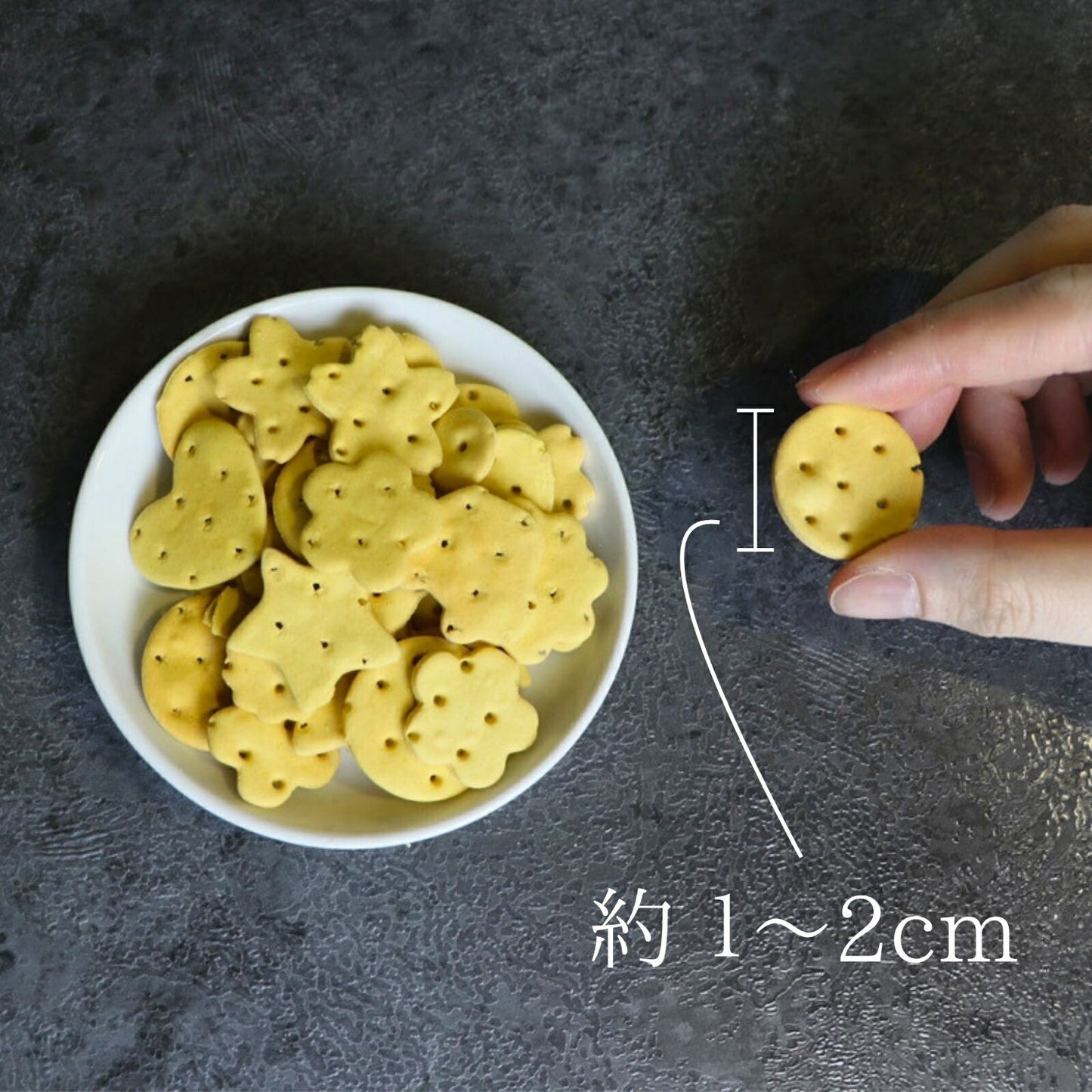 わんのはな 乳酸菌ビスケット かぼちゃ ポケットサイズ 25g【犬用 おやつ ビスケット】