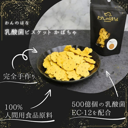 わんのはな 乳酸菌ビスケット かぼちゃ ポケットサイズ 25g【犬用 おやつ ビスケット】