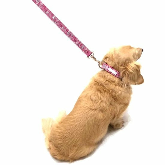 バーディ BIRDIE モノグラムカラー(L)【中・大型犬 犬用 ペット 首輪 カラー カジュアル】 送料無料