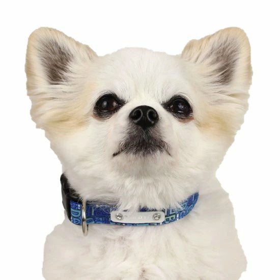 バーディ BIRDIE モノグラムカラー(S)【小型犬 犬用 ペット 首輪 カラー カジュアル】