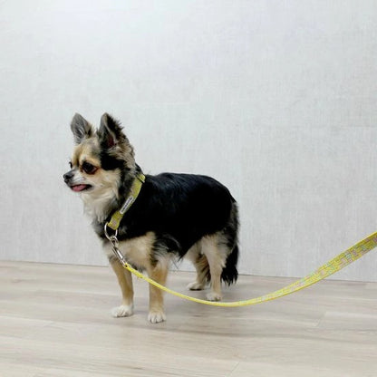 バーディ BIRDIE モノグラムカラー(SS)【小型犬 犬用 ペット 首輪 カラー カジュアル】