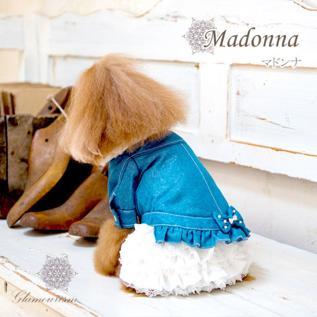 Glamorism Madonna [Dog Clothes, Small Dog Wear, Celebrity Outerwear, J –  TIARA PETS