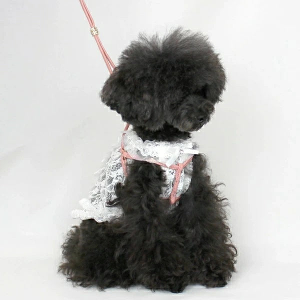 ★Made to order★ Luxe birdie Rondel body leash [Small dog dog harness body leash celebrity]
