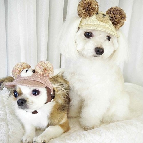 ★受注生産★ガーデン オブ エデン Garden of Eden 麦わらこぐまCAP【小型犬 セレブ ハット 帽子】 送料無料