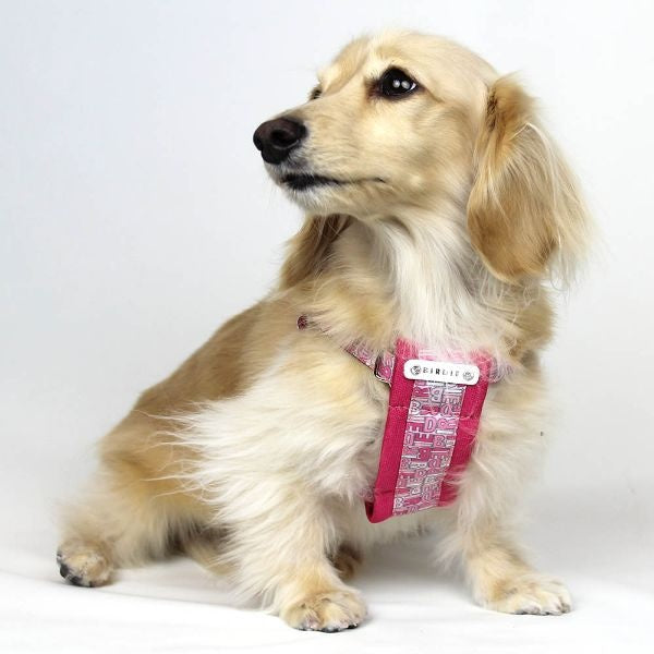 バーディ BIRDIE モノグラムハーネス(S)【小型犬 犬用 ハーネス 胴輪 カジュアル】 送料無料