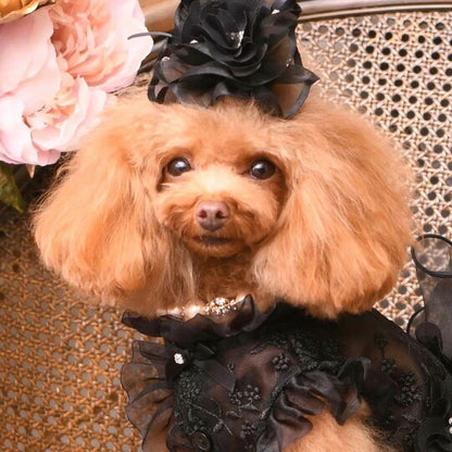 リュクスバーディ Luxe birdie パールビジューカラー (size21)【小型犬 カラー ラグジュアリー 首輪 セレブ】 送料無料