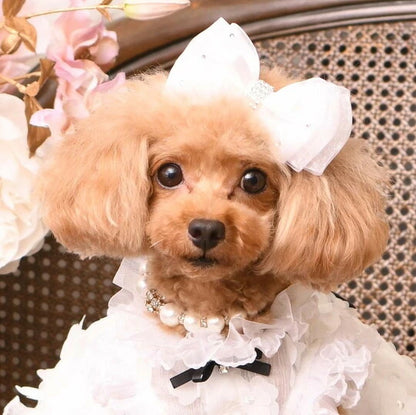 リュクスバーディ Luxe birdie パールビジューカラー (size21)【小型犬 カラー ラグジュアリー 首輪 セレブ】 送料無料