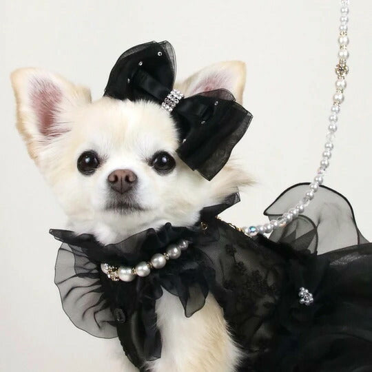 リュクスバーディ Luxe birdie パールビジューカラー (size21)【小型犬 カラー ラグジュアリー 首輪 セレブ】 送料無料