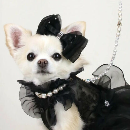 リュクスバーディ Luxe birdie パールビジューカラー (size21)【小型犬 カラー ラグジュアリー 首輪 セレブ】 送料無料