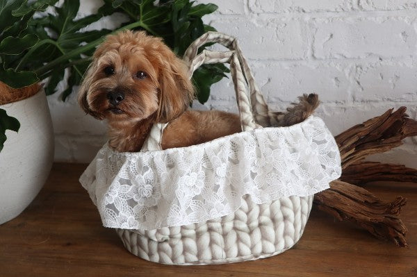 LouLou29 Roughly Knitted Basket Bag [Pet Carrier Bag Celebrity for Small  Dogs]