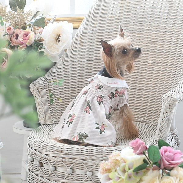 ローラアシュレイ LAURA ASHLEY レース襟付きワンピース【小型犬