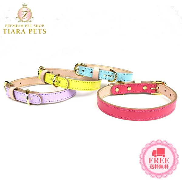 バーディ BIRDIE ボニーカラー(size21)【小型犬 犬用 首輪 カラー カジュアル】 送料無料