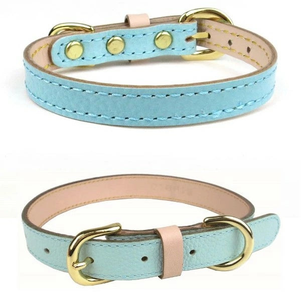 バーディ BIRDIE ボニーカラー(size21)【小型犬 犬用 首輪 カラー カジュアル】 送料無料