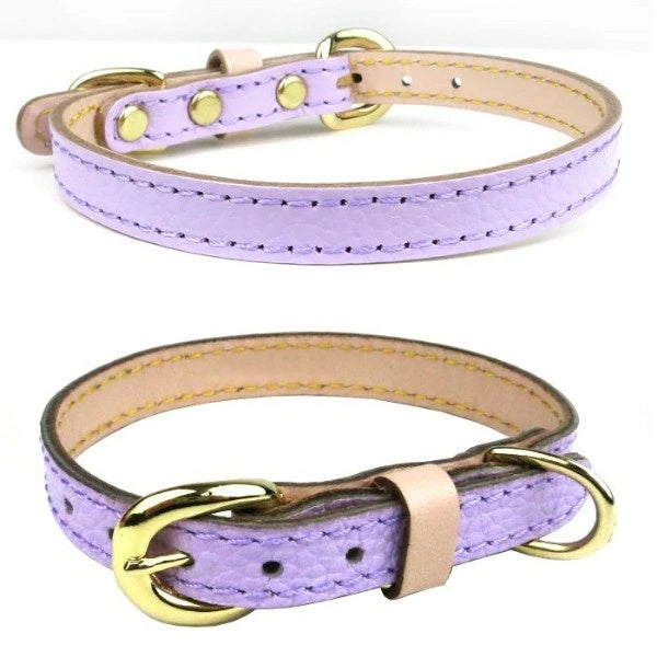 バーディ BIRDIE ボニーカラー(size32)【中型犬 犬用 首輪 カラー カジュアル】 送料無料