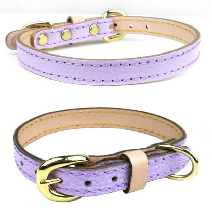 バーディ BIRDIE ボニーカラー(size32)【中型犬 犬用 首輪 カラー カジュアル】 送料無料