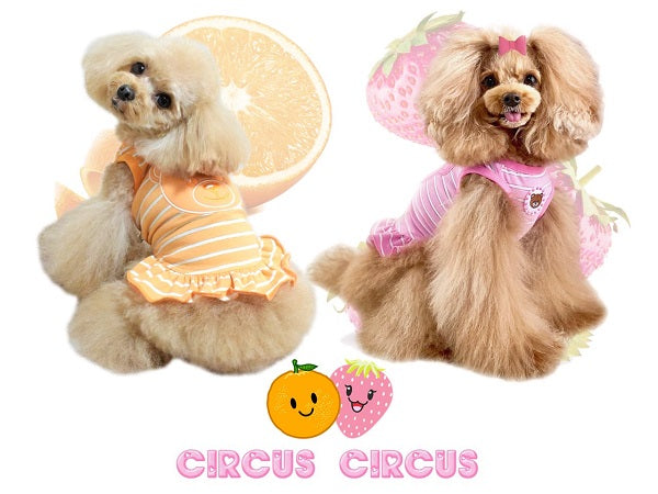 Circus Circus circus circus Toy Bear Juicy Border Tank (Girls) (CCW-0222)  [Small dog dog clothes wear tops tank]