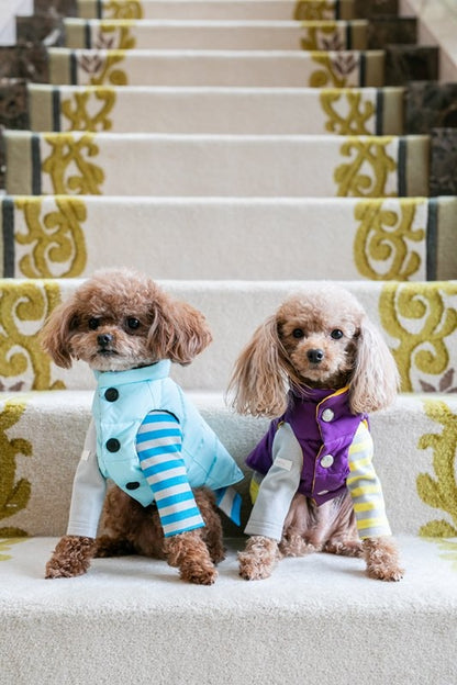 プエルト PUERTO 5th アヴェニュー リバーシブルダウンベスト(3h/4)【小型犬 犬服 ウエア アウター 上着 コート セレブ 】 送料無料
