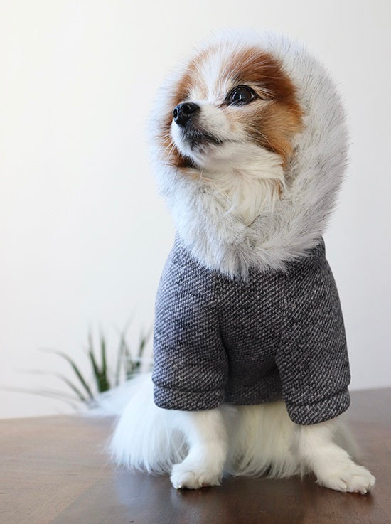 ミムット mimtto Fur lined hoodie【小型犬 犬服 ウエア コート アウター パーカ 上着 セレブ】