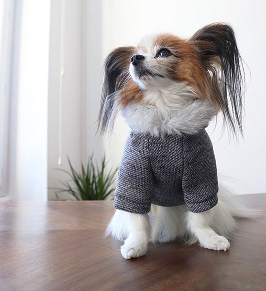 ミムット mimtto Fur lined hoodie【小型犬 犬服 ウエア コート アウター パーカ 上着 セレブ】