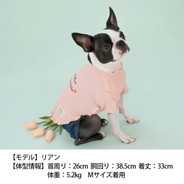 ティノティート TINOTITO バイカラーメローTシャツ【小型犬 犬服 ウエア トップス Tシャツ カットソー カジュアル】