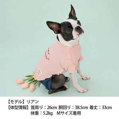 ティノティート TINOTITO バイカラーメローTシャツ【小型犬 犬服 ウエア トップス Tシャツ カットソー カジュアル】