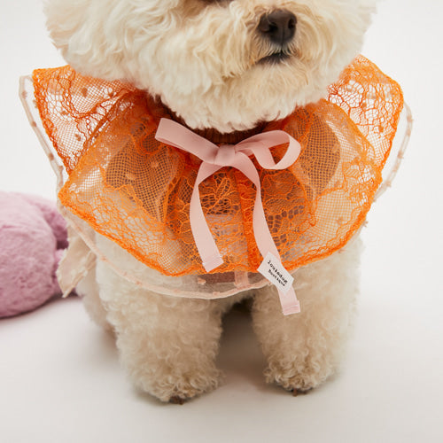 ルイスドッグ louisdog Orange Double Ruffle Cape【小型犬 襟 ケープ アクセサリー セレブ】