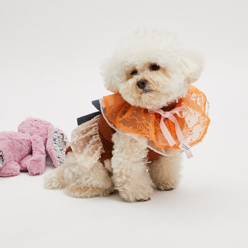 ルイスドッグ louisdog Orange Double Ruffle Cape【小型犬 襟 ケープ アクセサリー セレブ】