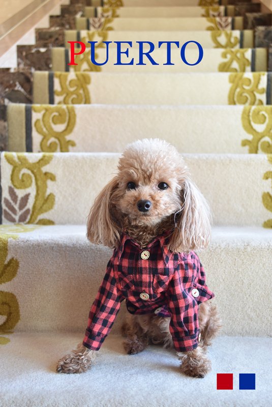 プエルト PUERTO ギンガムチェック起毛長袖シャツ【小型犬 犬服 ウエア トップス シャツ セレブ】