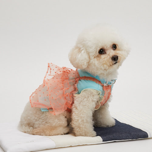 Louis Dog louisdog Coral Red Bustier [Small dog dog clothes wear tops  bustier cami celebrity]