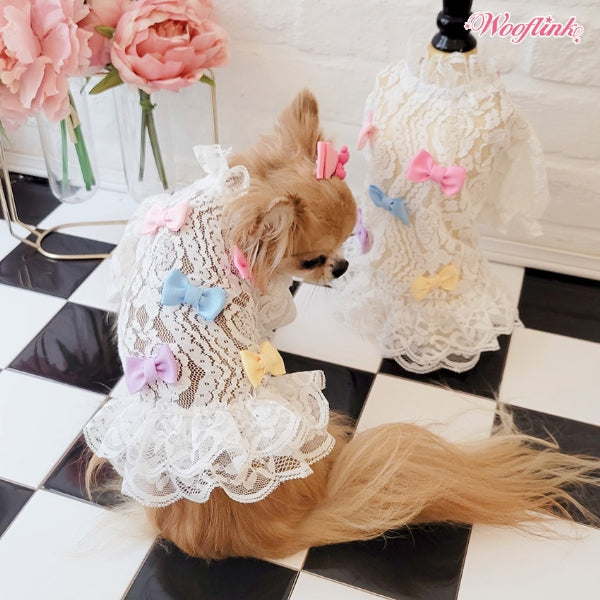 ウーフリンク WOOFLINK SWEET BABE ♥【小型犬 犬服 ウエア トップス カットソー ミニワンピ セレブ】