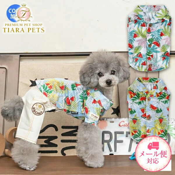 ディーズチャットD'sCHATアロハ柄背開きシャツ(XS/S)【小型犬犬服ウエアトップスシャツカジュアル】