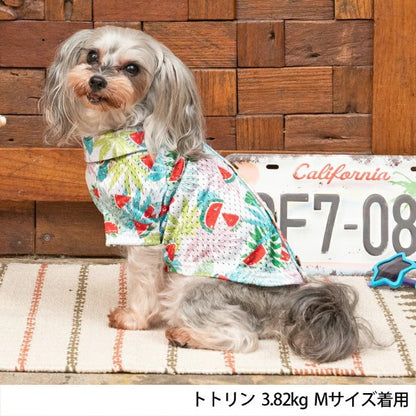 ディーズチャット D's CHAT アロハ柄背開きシャツ(XS/S)【小型犬 犬服 ウエア トップス シャツ カジュアル】