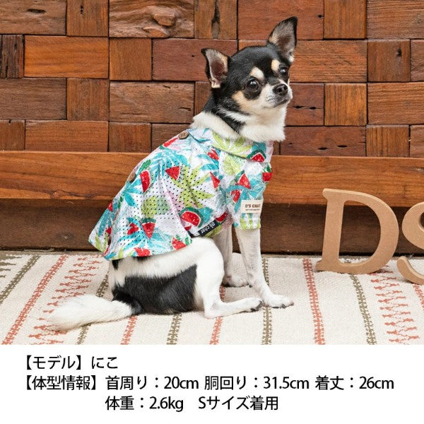 ディーズチャット D's CHAT アロハ柄背開きシャツ(XS/S)【小型犬 犬服 ウエア トップス シャツ カジュアル】