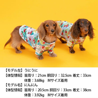 ディーズチャット D's CHAT アロハ柄背開きシャツ(XS/S)【小型犬 犬服 ウエア トップス シャツ カジュアル】