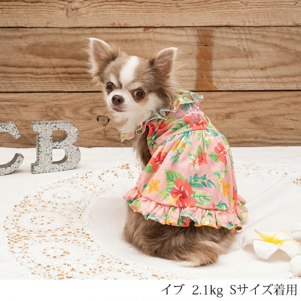 クレイジーブー CRAZYBOO アロハ裾フリルワンピ【小型犬 犬服 ウエア ワンピース ドレス セレブ】 – TIARA PETS