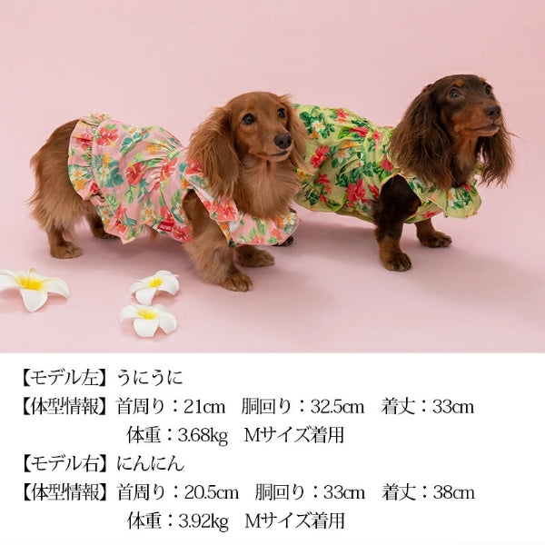 CRAZYBOO Aloha Frilled Hem Dress [Small Dog Dog Clothes Wear One Piece  Dress Celebrity]