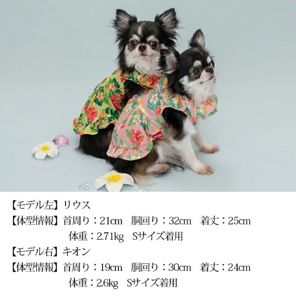 クレイジーブー CRAZYBOO アロハ裾フリルワンピ【小型犬 犬服 ウエア ワンピース ドレス セレブ】