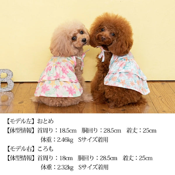フィフィアンドロメオ fifi u0026romeo レース襟 Tシャツ