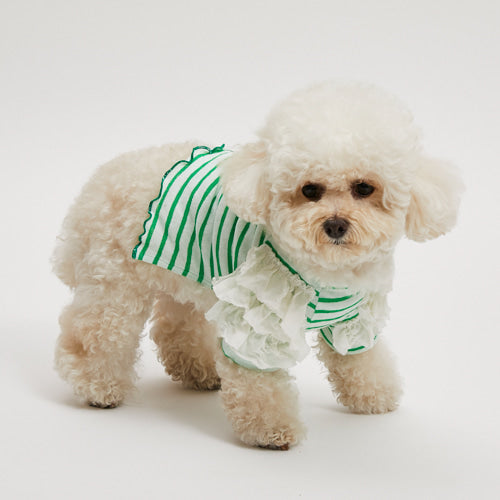 ルイスドッグ louisdog Green Apple Stripe T-Shirt【小型犬 犬服 ウエア トップス Tシャツ カットソー セレブ】