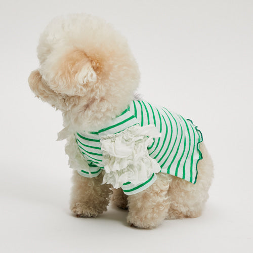 ルイスドッグ louisdog Green Apple Stripe T-Shirt【小型犬 犬服 ウエア トップス Tシャツ カットソー セレブ】