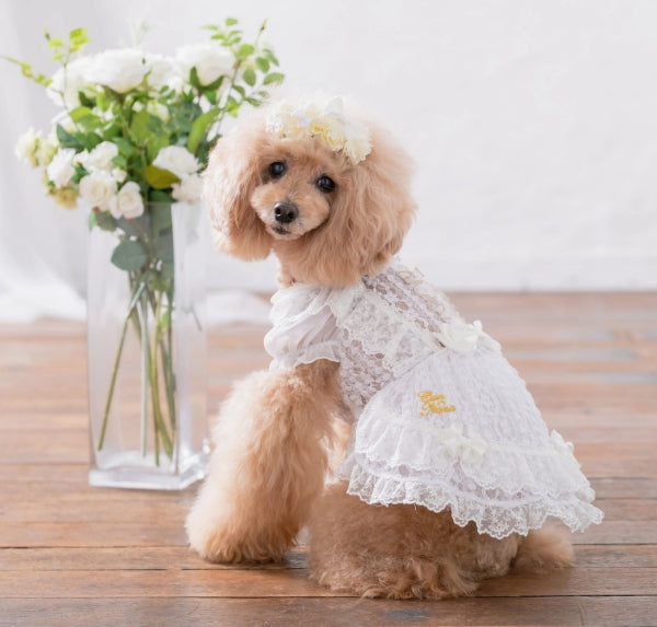 CanNana Summer Lace Dress 1111 [Small Dog Dog Clothes Wear One Piece Dress  Celebrity]