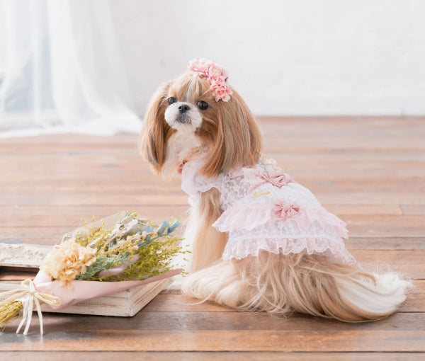 CanNana Summer Lace Dress 1111 [Small Dog Dog Clothes Wear One Piece Dress  Celebrity]