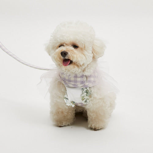 Louis Dog louisdog Lilac Cape Harness Set [Celebrity Lead Harness Torso  Ring for Small Dogs]