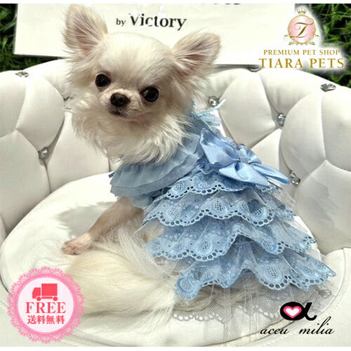 アキュミリアaccumiliaブルークレールコットンワンピ(XS/SS)【小型犬犬服ウエアワンピースドレスセレブ】送料無料
